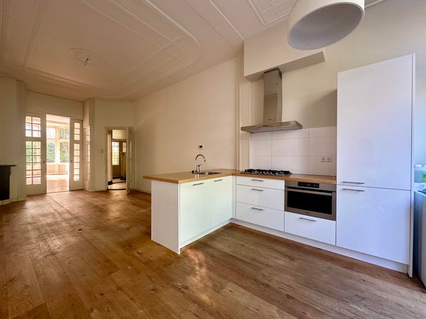 Cornelis De Wittlaan 67